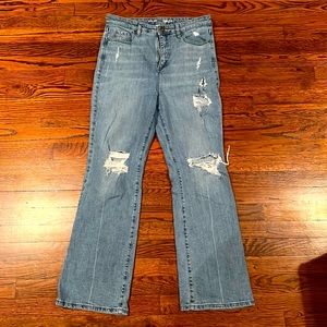 Style & Co Bootcut Jeans